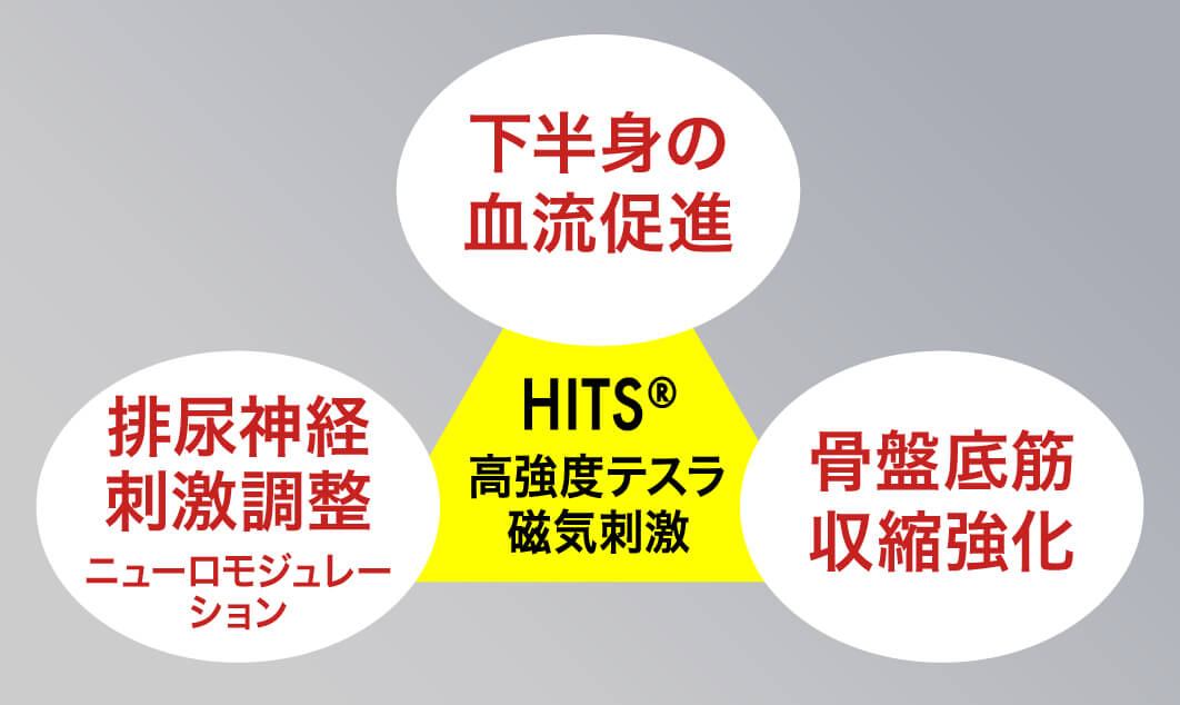 HITS™ 高強度テスラ磁気刺激